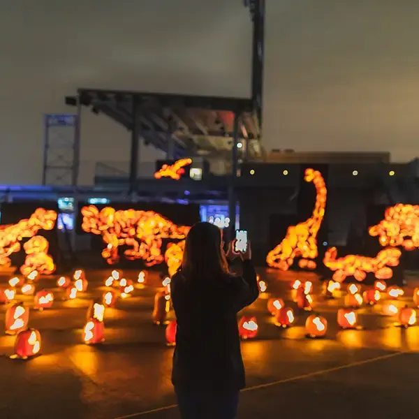 Pumpkin World Experience in Pomona