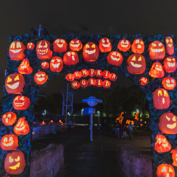 Pumpkin World Experience in Pomona