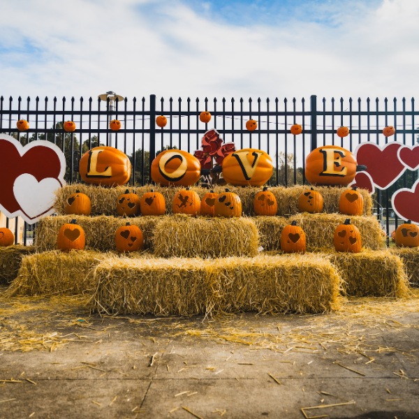 Pumpkin World Experience in Pomona