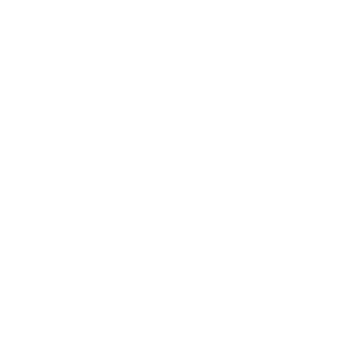 tax icon