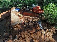 Field crews are collecting thousands of samples like the one pictured to reconstruct tree establishment dates and the exact year of past fires.