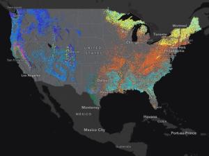 map with colored areas highlighting different areas with trees.