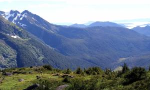 an image showing a landscape scale view of mountains from the top of a mountain. A watershed in southeast Alaska draining into the Gulf of Alaska. USDA Forest Service photo by Rick Edwards