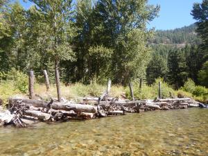 Engineered logjams such as this one on Washington’s Entiat River form pools that serve as rearing habitat for young salmon and steelhead. Researchers have developed new methods for evaluating the effectiveness of stream restoration projects throughout a river basin.