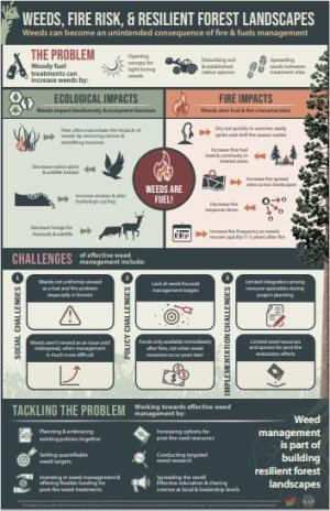 Infographic summarizes the effects of fuel treatment on weeds; social, policy, and implementation challenges; and management options.