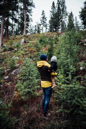 A woman and child explore in a forested landscape.