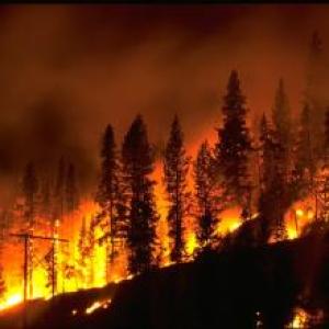 Large flames of a wildfire climbing a forested hill at night