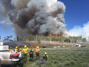 A 2019 prescribed burn at Manning Creek in the Fishlake National Forest conducted as part of the Fire and Smoke Model Evaluation Experiment (FASMEE). USDA Forest Service photo by Jessie Thoreson.