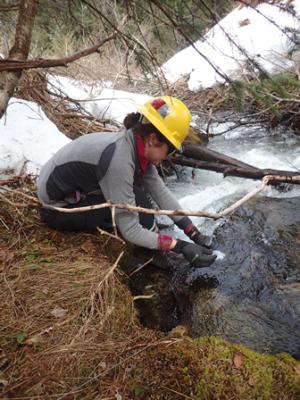 Anna Ringelman, an intern at the Juneau Forestry Sciences Laboratory at the time, installs a water temperature gauge in Canyon Creek in the Héen Latinee Experimental Forest. 