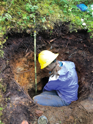 A researcher collects soil samples from volcanic-derived soil in the Heén Latinee Experimental Forest within the Tongass National Forest, Alaska. These samples were later analyzed to determine the carbon content. USDA Forest Service photo by Dave D'Amore.