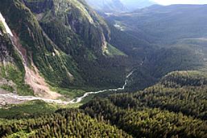 Plant habitats span the range from recently deglaciated valley to mature old growth reserves.