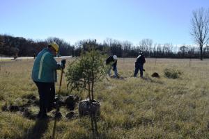 Group working in a grassy field