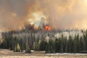 A prescribed burn conducted in the Fishlake National Forest, Utah, in 2020. USDA Forest Service photo by Roger Ottmar.  