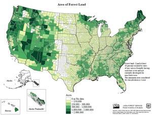 Forest land area.