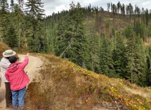 Two people with backs to the camera looking out and pointing at a forest landscape