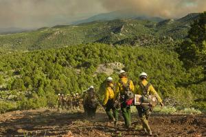 Line of firefighters walking down a hill towards a plume of smoke. 