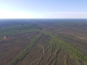 An aerial photo of the New Jersey Pine Barrens, image shows clear demarcations between burned and unburned lands. 