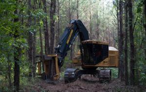 Feller Buncher Logging Harvester Vehicle