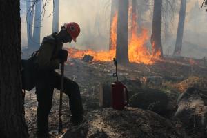 A Hotshot takes a short breather next to a tree at the Rim Fire in the Stanislaus National Forest.