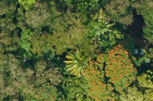 An aerial image of a rural area in Puerto Rico