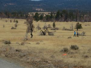 Two people walk across an expansive shrubland with forests in the distance.