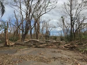 A road in San Juan Puerto Rico after the passing of hurricane Maria