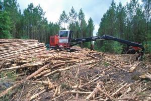 logging equipment and logs