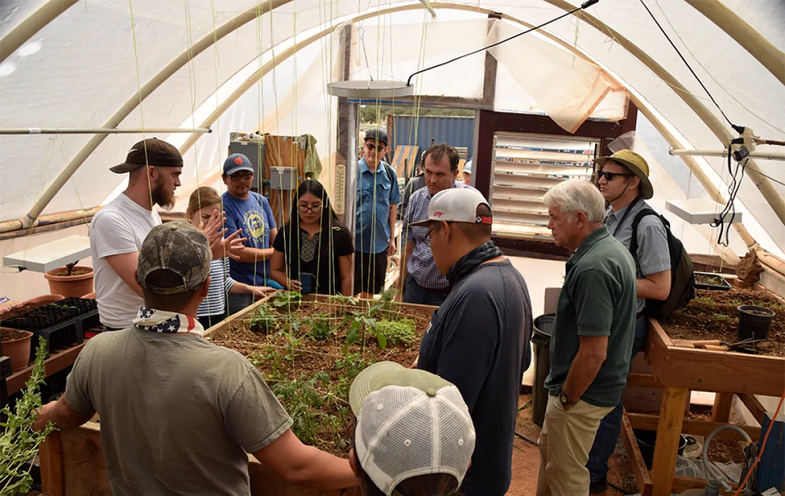 Gathering around plants