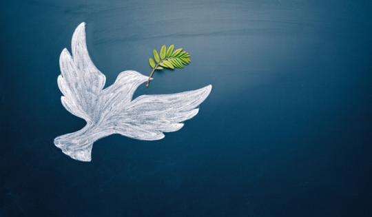 Chalk drawing of a dove of peace