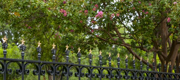 Rotating decorative Capitol photo slideshow image