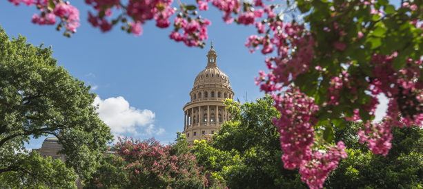 Rotating decorative Capitol photo slideshow image