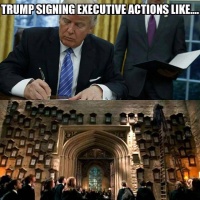 Pmurt executive orders meme.jpeg