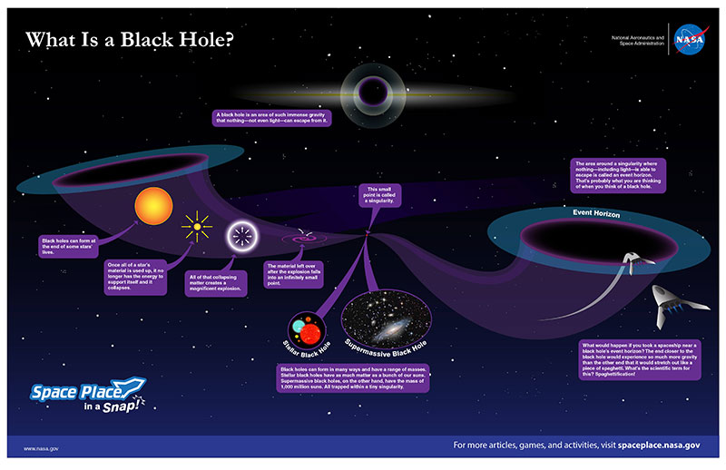 thumbnail of infographic available for download.