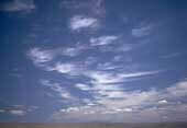 Cirrus clouds.