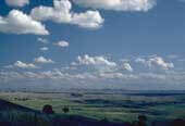 Cumulus clouds.