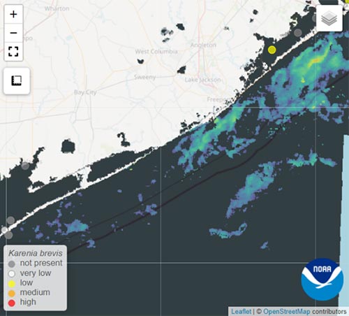 Red Tide Satellite imagery from 09/28/2023