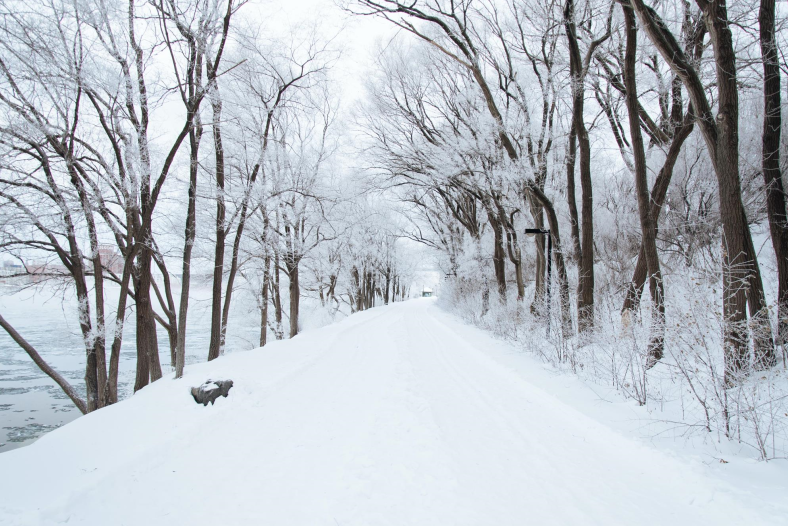 Photo of snow covered roadway