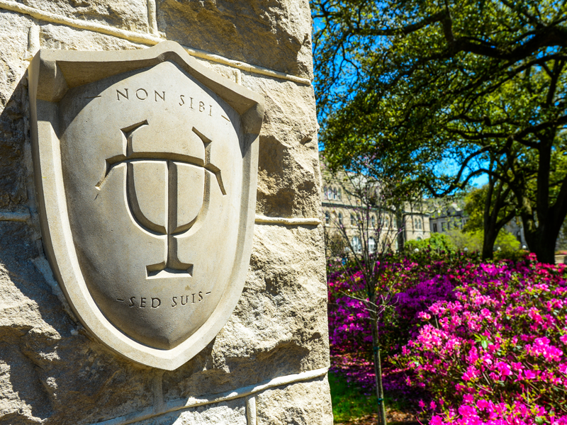 Tulane shield carved in stone