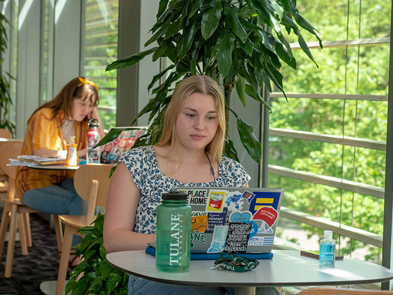 student using laptop