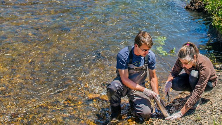 2 people collecting samples at a shoreline