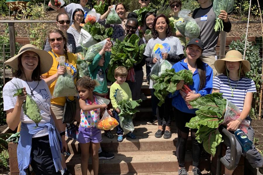 Group gardening 