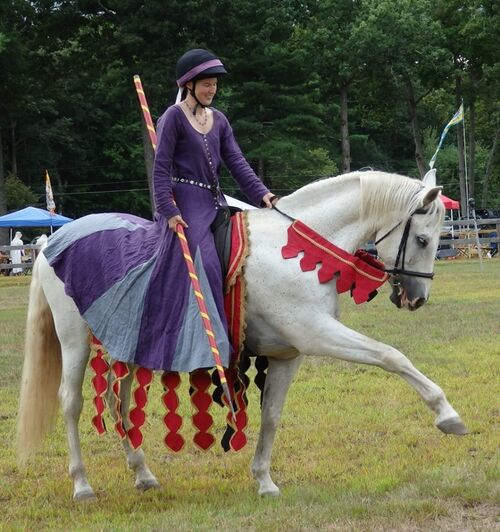 "Alanna wearing a gray and purple dress on a white horse who is dressed in fancy red barding, walking with a lance"