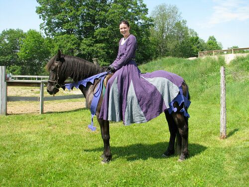 "Alanna wearing a gray and purple dress on a dark brown horse, standing on grass"