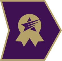 Winner’s badge icon