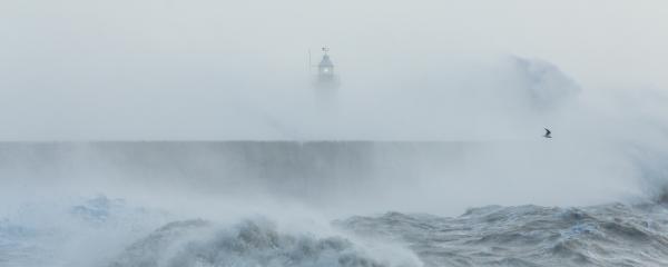 Newhaven, Sussex, Stormy Seas With Wave Crashing against Sea Wall. Lighthouse Partially Visible Behind. Seagull Flying Through Spray.