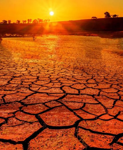 A cracked, dry landscape is illuminated by the setting sun. The sky is orange, and the silhouette of trees is visible in the background.