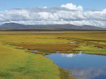 Solomon River in Nome