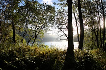 Uganik Lake in Kodiak