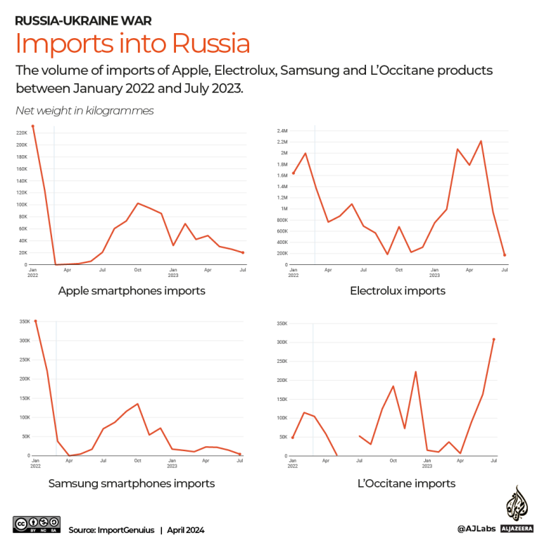 INTERACTIVE-Imports in Russia