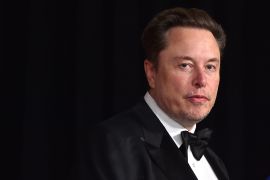 Musk has been outspoken in his criticism of liberal policies and public figures [Jordan Strauss/Invision via AP Photo]